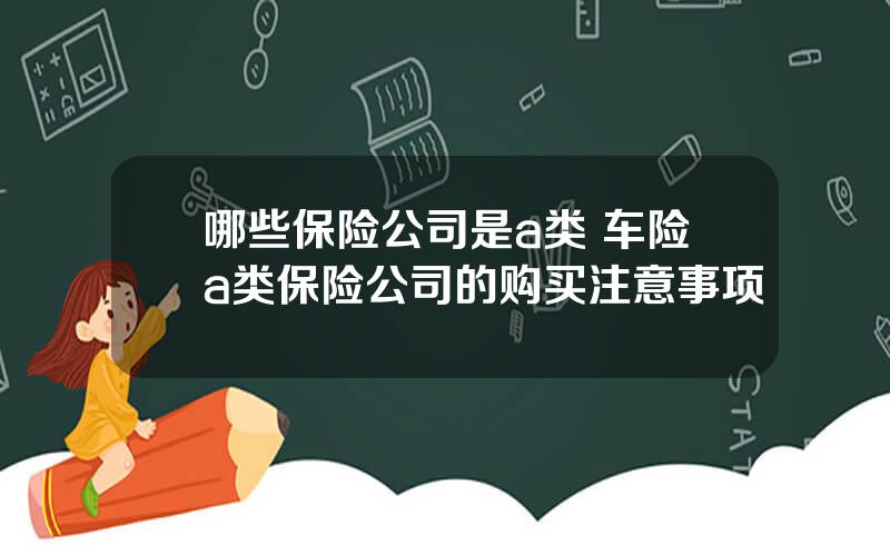 哪些保险公司是a类 车险a类保险公司的购买注意事项